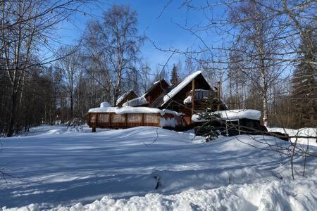 Lazy Bear Retreat At Talkeetna Lodge Exterior foto